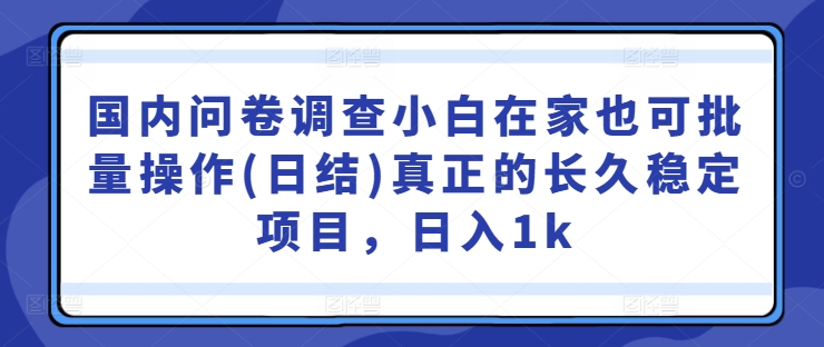国内问卷调查小白在家也可批量操作(日结)真正的长久稳定项目，日入1k【揭秘】-网创空间