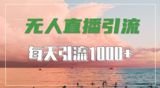 抖音快手视频号全平台通用，无人直播引流法，超暴力引流1000+高质量精准创业粉【揭秘】-网创空间