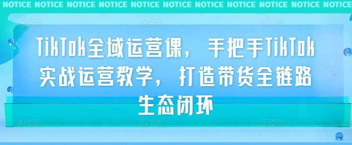 TikTok全域运营课，手把手TikTok实战运营教学，打造带货全链路生态闭环-网创空间