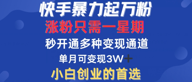 快手暴力起万粉，涨粉只需一星期，多种变现模式，直接秒开万合，单月变现过W【揭秘】-网创空间