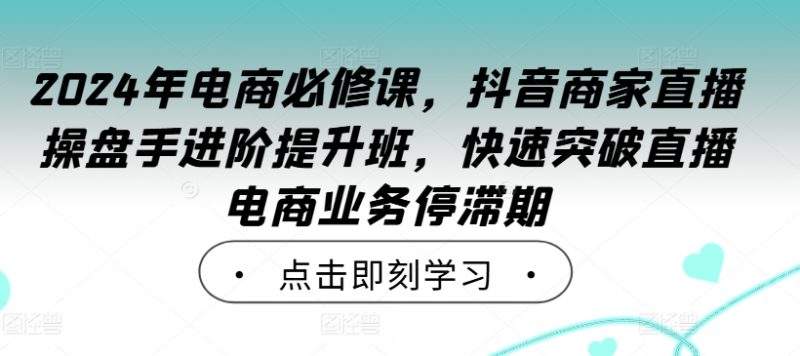 2024年电商必修课，抖音商家直播操盘手进阶提升班，快速突破直播电商业务停滞期-网创空间