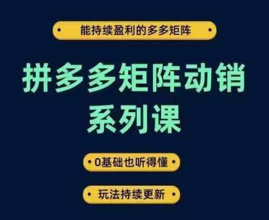 拼多多矩阵动销系列课，能持续盈利的多多矩阵，0基础也听得懂，玩法持续更新-网创空间