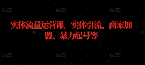 实体流量运营课，实体引流、商家加盟、暴力起号等-网创空间