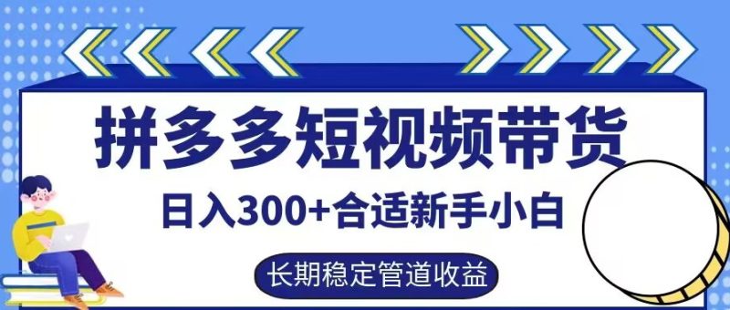 拼多多短视频带货日入300+有长期稳定被动收益，合适新手小白【揭秘】-网创空间