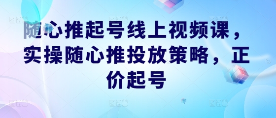 随心推起号线上视频课，实操随心推投放策略，正价起号-网创空间