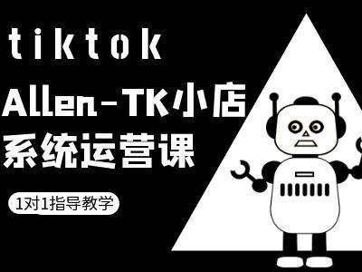 TK小店系统运营课-tiktok跨境电商教程-网创空间