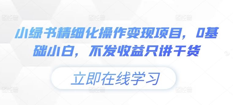 小绿书精细化操作变现项目，0基础小白，不发收益只讲干货-网创空间
