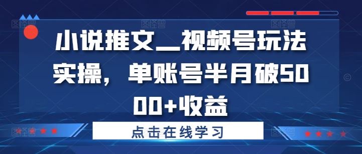 小说推文—视频号玩法实操，单账号半月破5000+收益-网创空间