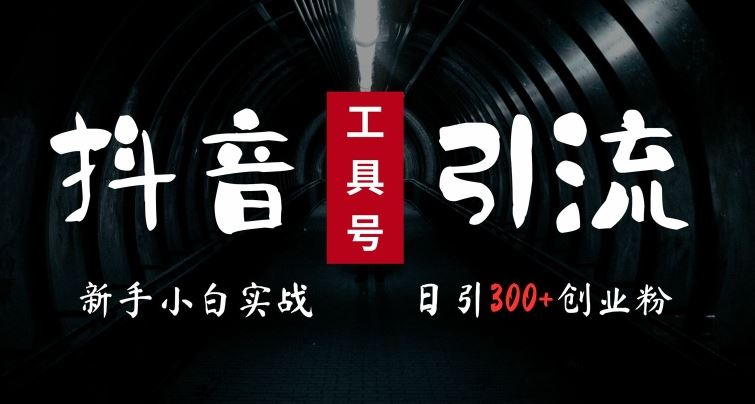 2024最新抖音工具号引流玩法，高效日引300+创业粉，当天变现5k，小白也可成为实战高手-网创空间