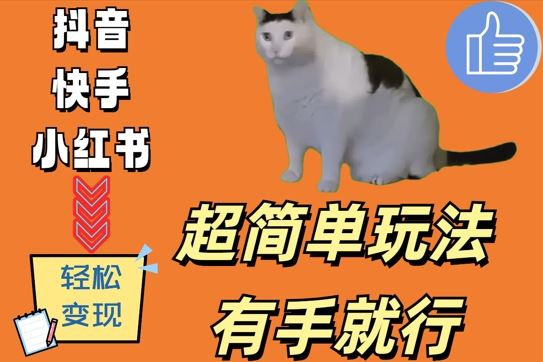 超简单玩法，有手就行，靠猫咪视频日入500+【揭秘】-网创空间