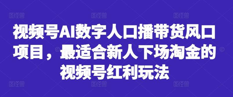 视频号AI数字人口播带货风口项目，最适合新人下场淘金的视频号红利玩法-网创空间