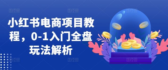 小红书电商项目教程，0-1入门全盘玩法解析-网创空间