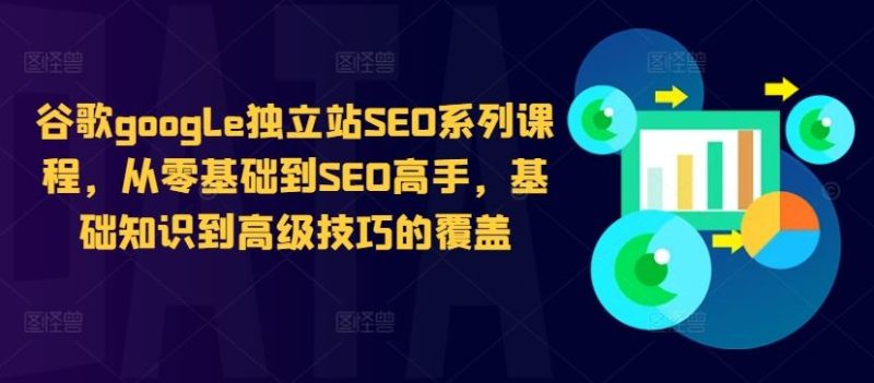 谷歌google独立站SEO系列课程，从零基础到SEO高手，基础知识到高级技巧的覆盖-网创空间