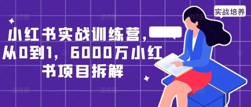 小红书实战训练营，从0到1，6000万小红书项目拆解-网创空间