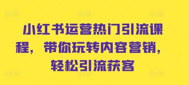 小红书运营热门引流课程，带你玩转内容营销，轻松引流获客-网创空间
