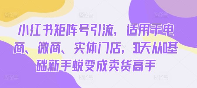 小红书矩阵号引流，适用于电商、微商、实体门店，30天从0基础新手蜕变成卖货高手-网创空间