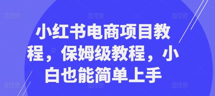 小红书电商项目教程，保姆级教程，小白也能简单上手-网创空间