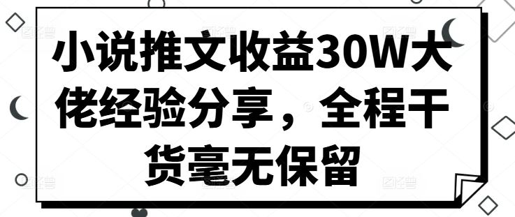 小说推文收益30W大佬经验分享，全程干货毫无保留-网创空间