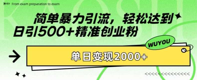简单暴力引流，轻松达到日引500+精准创业粉，单日变现2k【揭秘】-网创空间