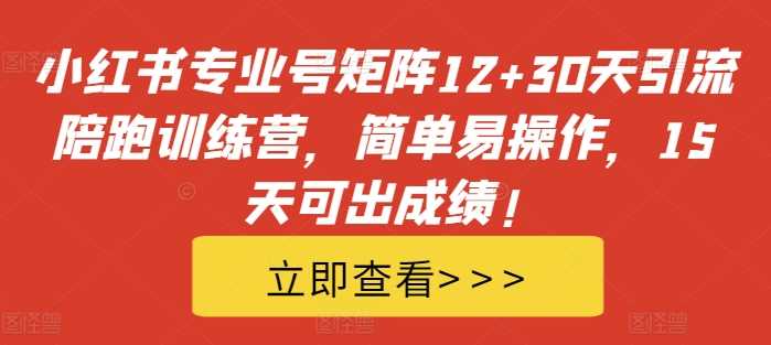 小红书专业号矩阵12+30天引流陪跑训练营，简单易操作，15天可出成绩!-网创空间
