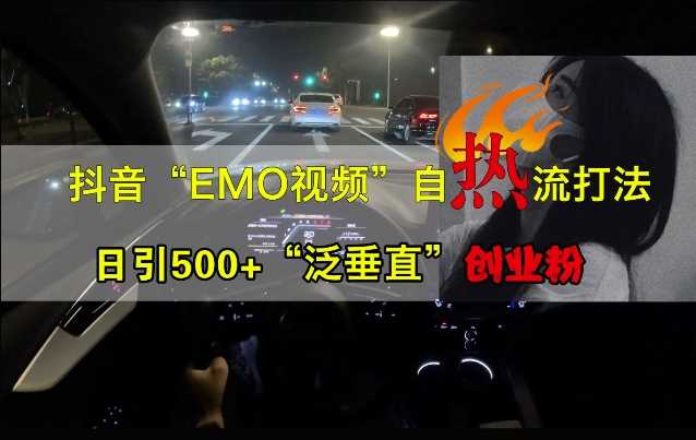抖音EMO视频自热打法，日引500+“泛垂直”创业粉-网创空间