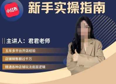 君君-小红书电商从入门到精通，新手实操指南-网创空间