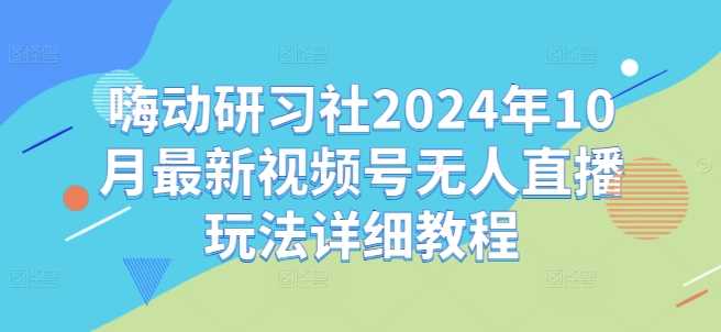 嗨动研习社2024年10月最新视频号无人直播玩法详细教程-网创空间
