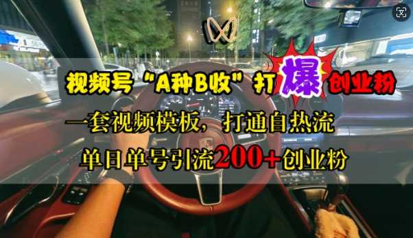 视频号“A种B收”打爆创业粉，一套视频模板打通自热流，单日单号引流200+创业粉-网创空间
