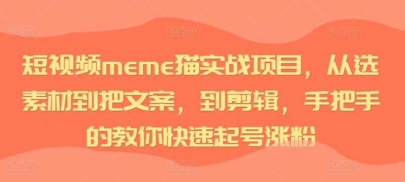短视频meme猫实战项目，从选素材到把文案，到剪辑，手把手的教你快速起号涨粉-网创空间