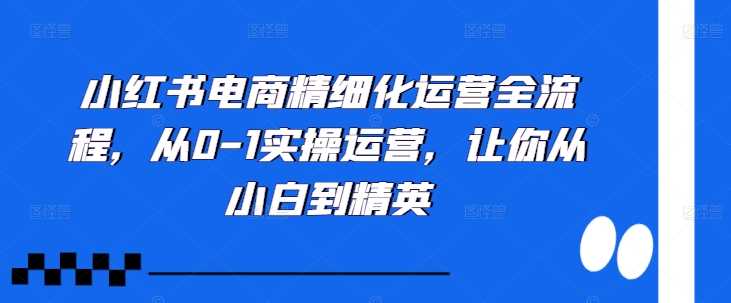 小红书电商精细化运营全流程，从0-1实操运营，让你从小白到精英-网创空间