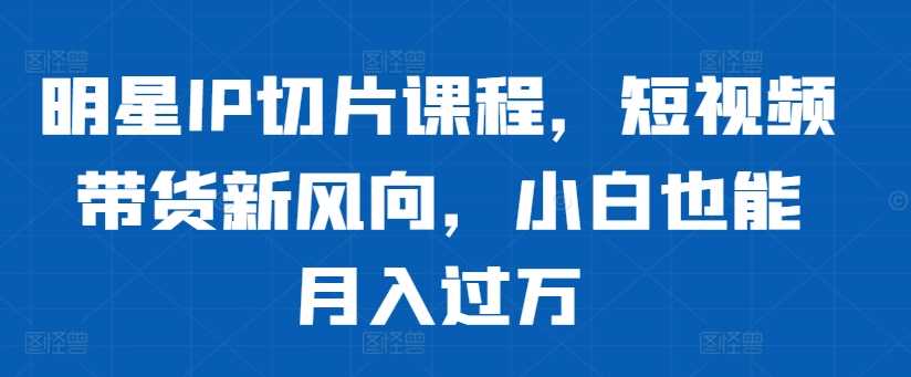 明星IP切片课程，短视频带货新风向，小白也能月入过万-网创空间