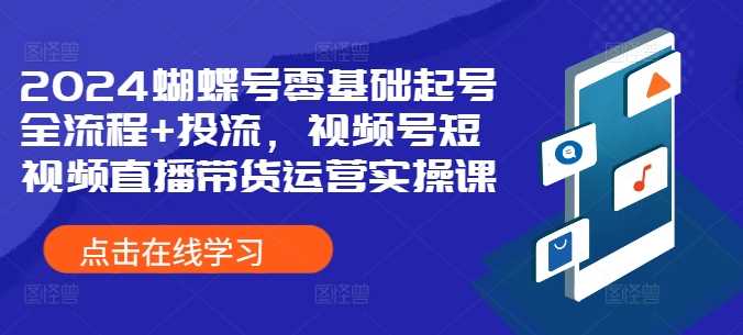 2024蝴蝶号零基础起号全流程+投流，视频号短视频直播带货运营实操课-网创空间