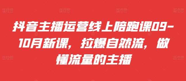 抖音主播运营线上陪跑课09-10月新课，拉爆自然流，做懂流量的主播-网创空间