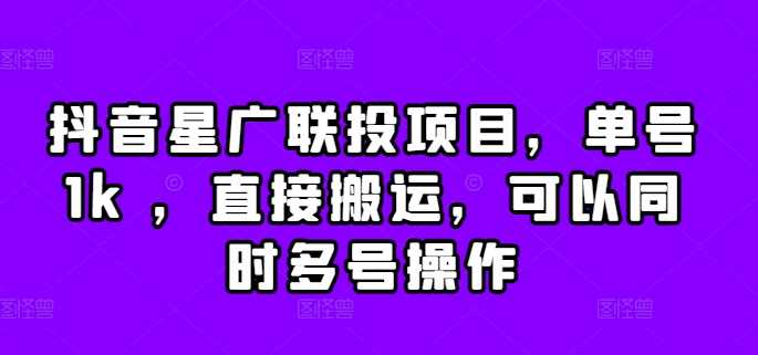 抖音星广联投项目，单号1k ，直接搬运，可以同时多号操作【揭秘】-网创空间