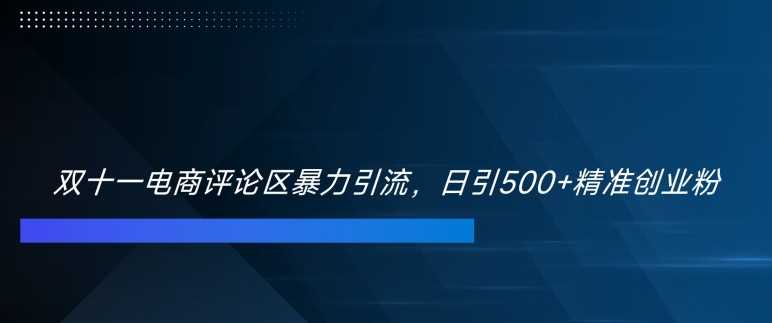 双十一电商评论区暴力引流，日引500+精准创业粉【揭秘】-网创空间