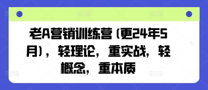 老A营销训练营(更24年10月)，轻理论，重实战，轻概念，重本质-网创空间