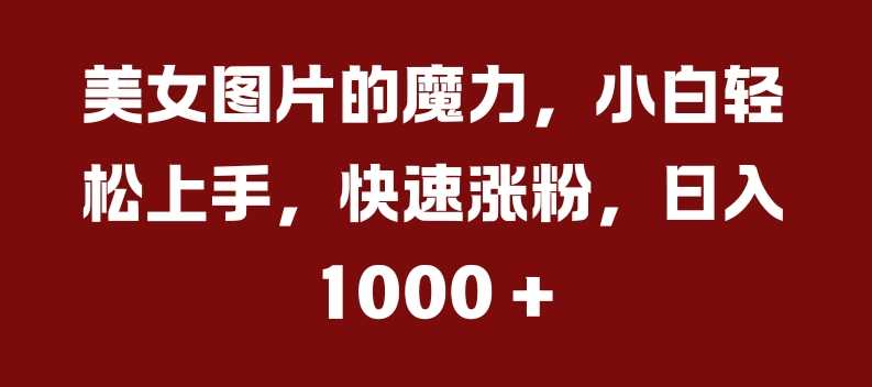 美女图片的魔力，小白轻松上手，快速涨粉，日入几张【揭秘】-网创空间