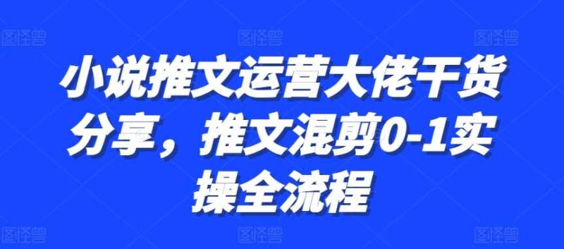 小说推文运营大佬干货分享,推文混剪0-1实操全流程-网创空间