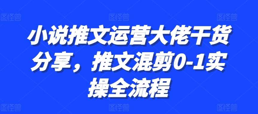 小说推文运营大佬干货分享，推文混剪0-1实操全流程-网创空间