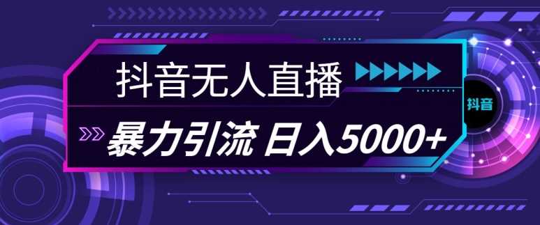 抖音快手视频号全平台通用无人直播引流法，利用图片模板和语音话术，暴力日引流100+创业粉【揭秘】-网创空间