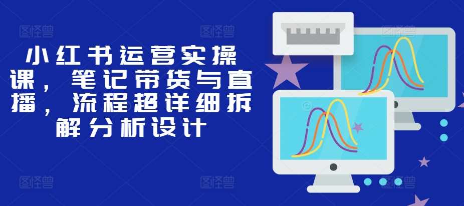 小红书运营实操课，笔记带货与直播，流程超详细拆解分析设计-网创空间