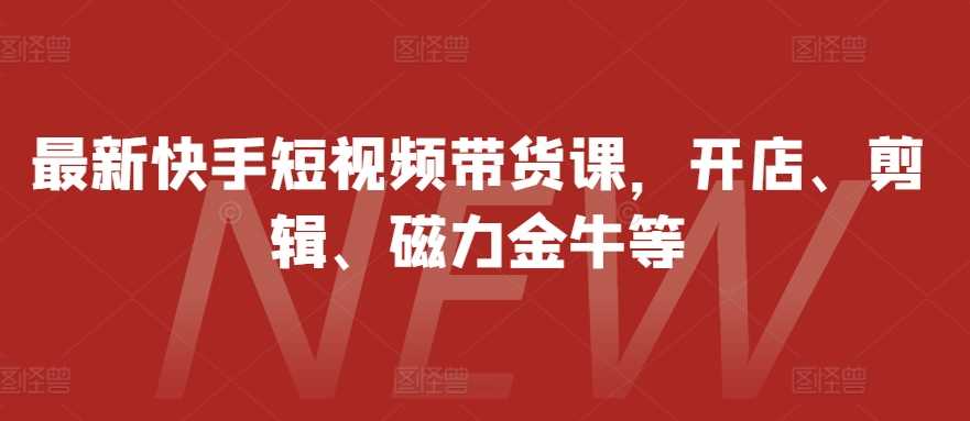 最新快手短视频带货课，开店、剪辑、磁力金牛等-网创空间