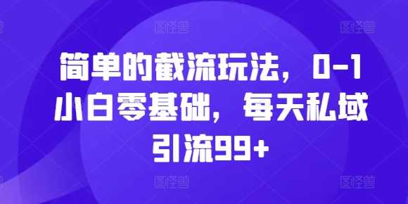 简单的截流玩法，0-1小白零基础，每天私域引流99+【揭秘】-网创空间