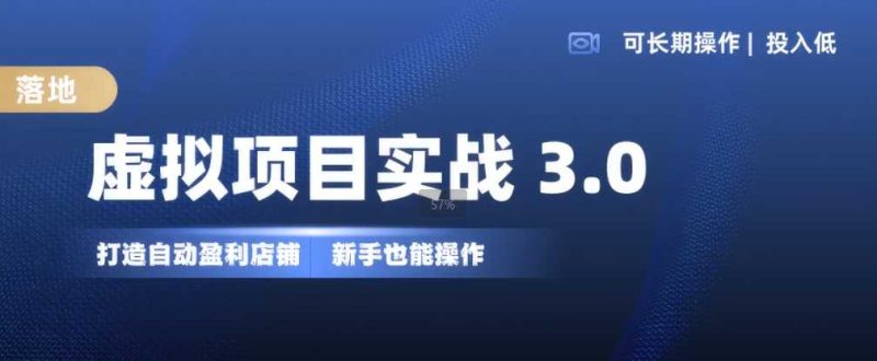 虚拟项目实战3.0，打造自动盈利店铺，可长期操作投入低，新手也能操作-网创空间