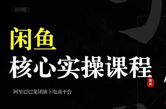 2024闲鱼核心实操课程，从养号、选品、发布、销售，教你做一个出单的闲鱼号-网创空间
