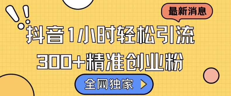 全网独家抖音引流，轻松日引300+精准创业粉【揭秘】-网创空间