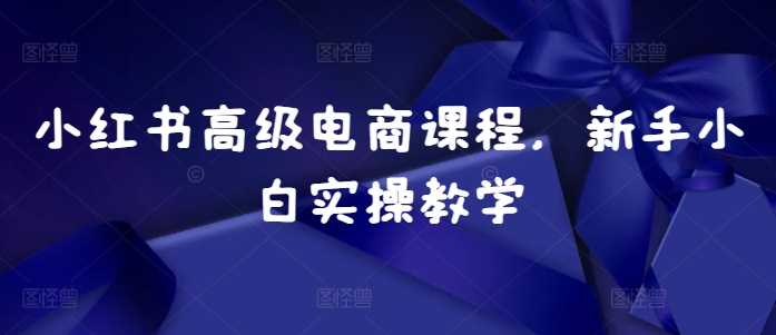 小红书高级电商课程，新手小白实操教学-网创空间