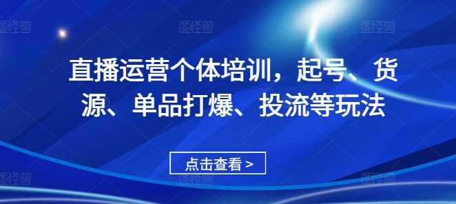 直播运营个体培训，起号、货源、单品打爆、投流等玩法-网创空间