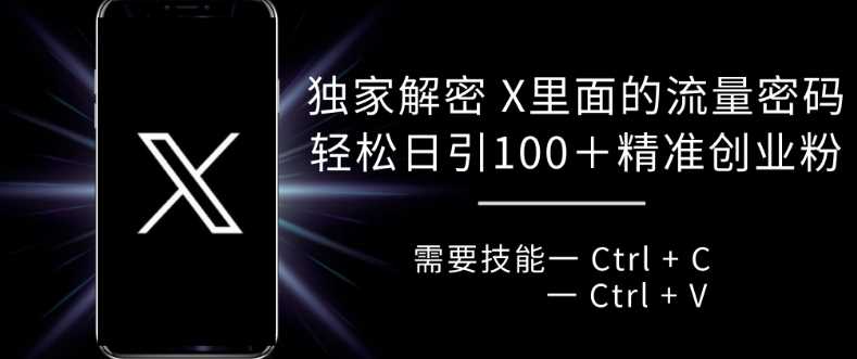 独家解密 X 里面的流量密码，复制粘贴轻松日引100+-网创空间