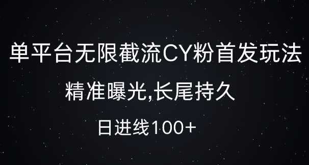 单平台无限截流创业粉首发玩法，精准曝光，长尾持久，日引流100+【揭秘】-网创空间